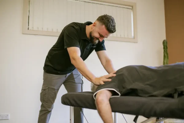 Healthproof physiotherapist delivering hands-on manual therapy on a treatment table